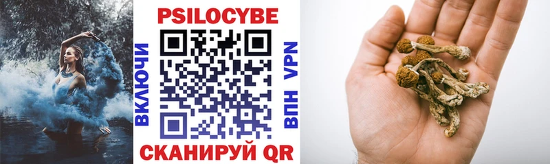 Псилоцибиновые грибы GOLDEN TEACHER  цена   Чухлома 